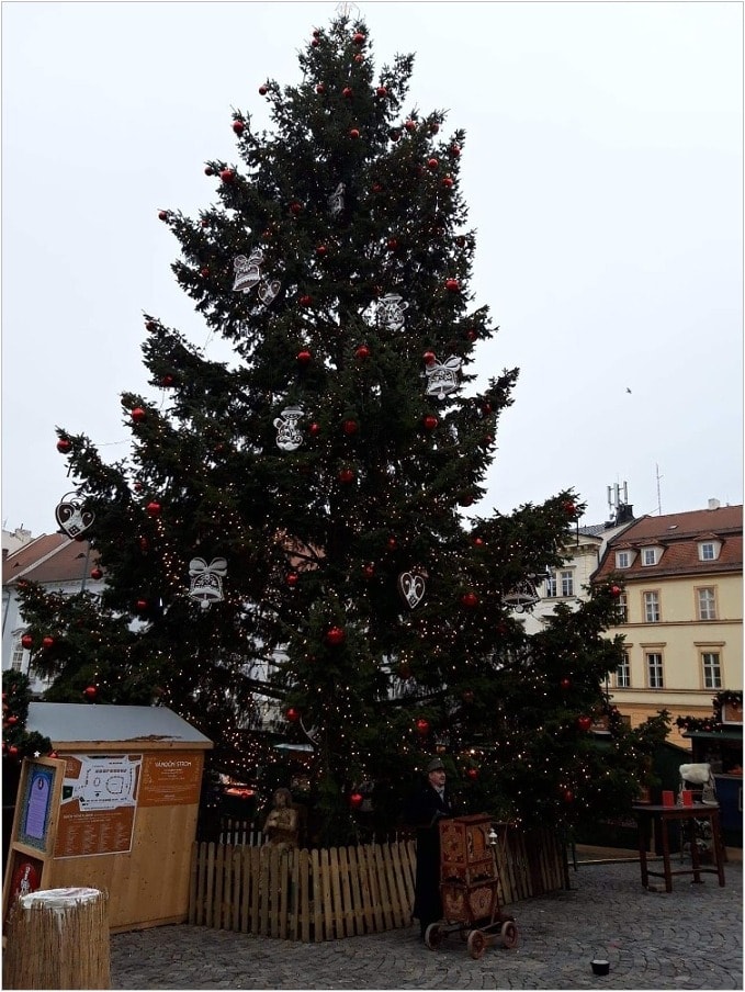 Vánoční strom na Zelném trhu