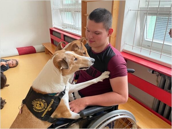 Praktická škola - catisterapie - žák na vozíku s canisterapeutickými psy